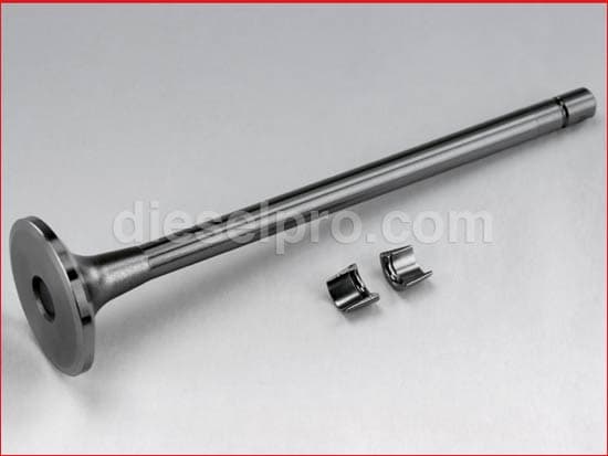 Cummins Intake Valve