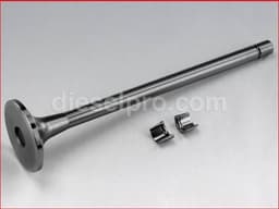 Cummins Intake Valve