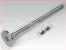 Cummins Intake Valve
