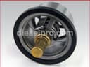 Cummins Thermostat