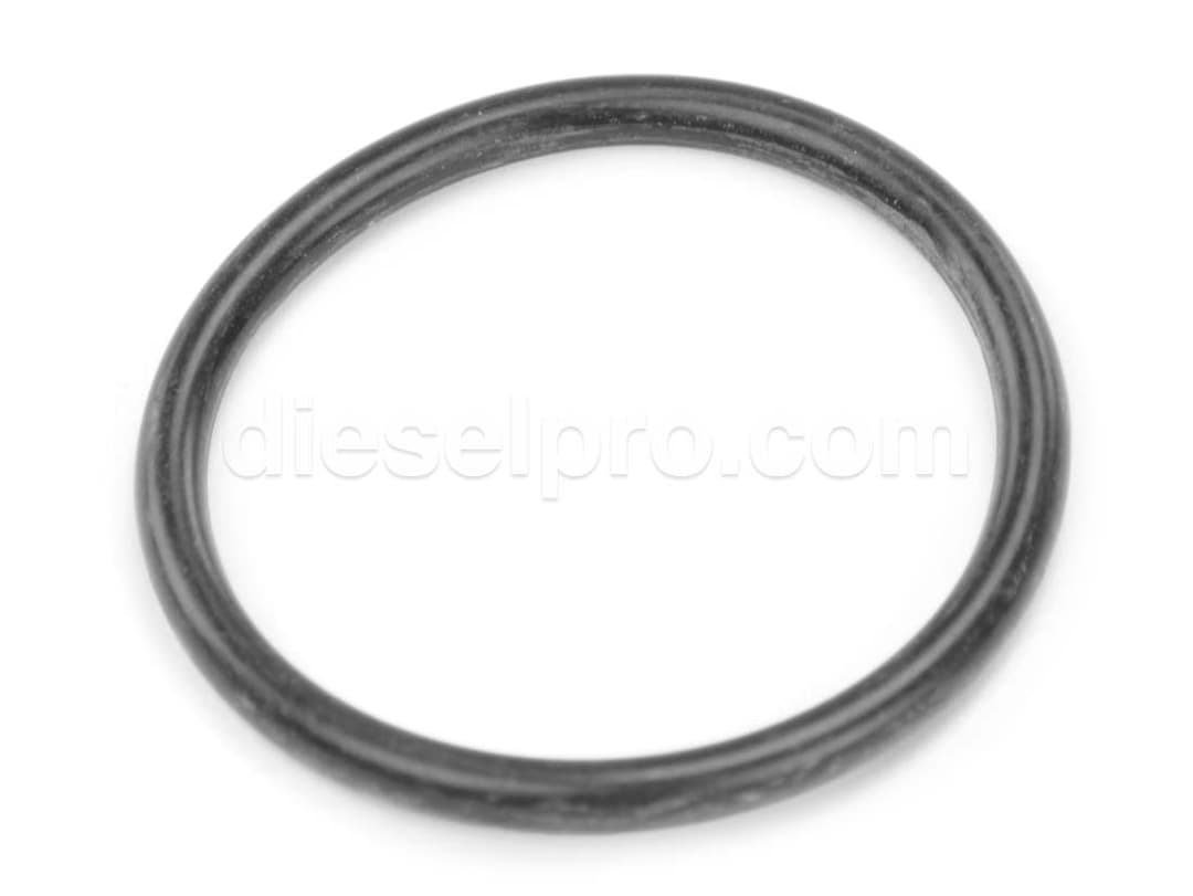 Cummins O-ring for Water Connections
