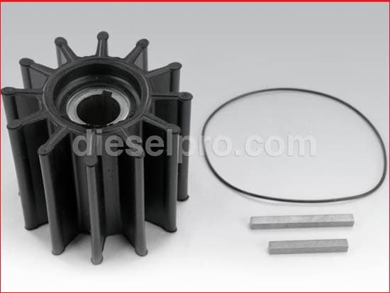 Impeller for Cummins Marine Seawater Pump | QSB 5.9, QSB 6.7