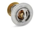 Cummins Thermostat