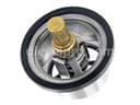 Cummins Thermostat