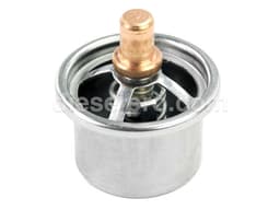 Cummins Thermostat