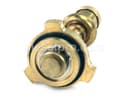 Cummins Thermostat