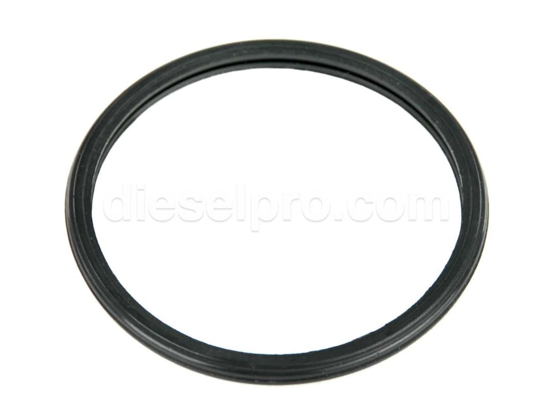 Cummins Thermostat Seal