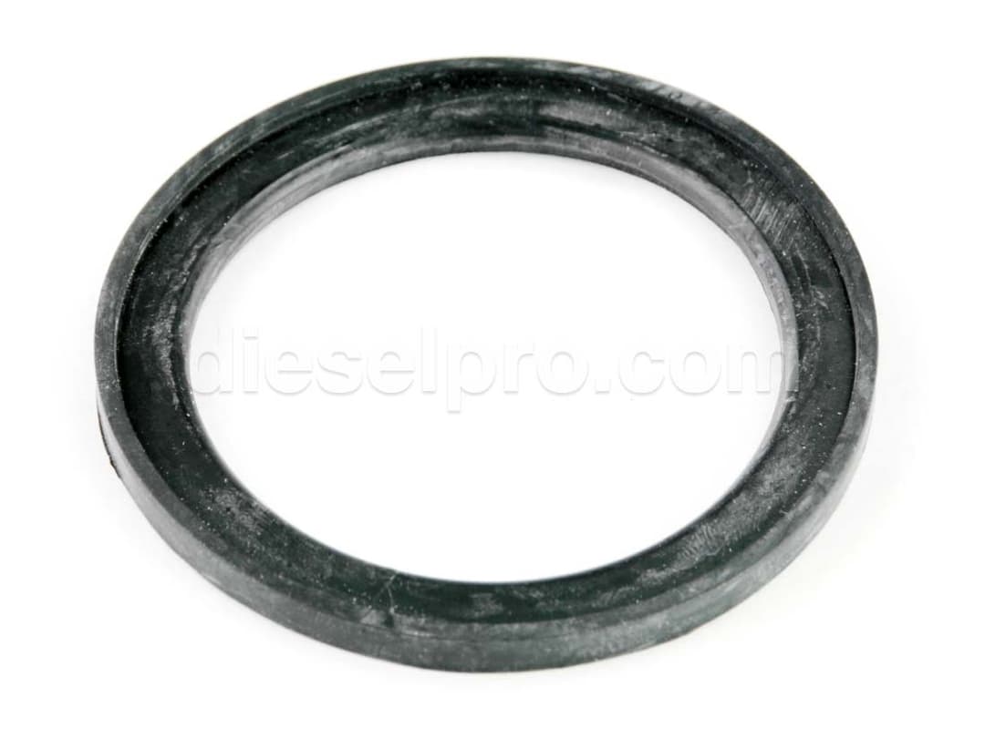 Cummins Thermostat Seal